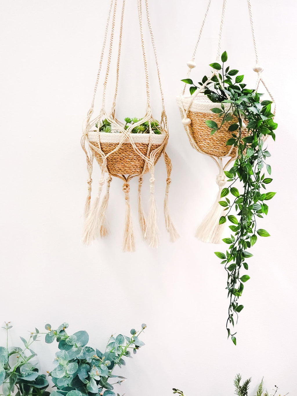 Plant Hanger
