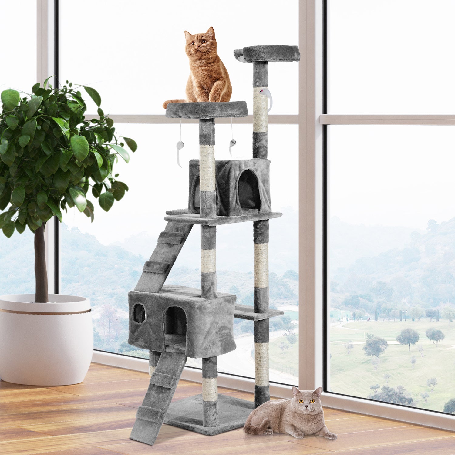 67-inch Multi-Level Cat Scratching Tree