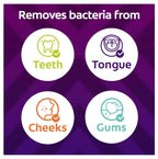 Zig Zag Medium Manual Toothbrush - Multi Angle Cross Bristles with Flexible Neck for Gum Comfort - 3 Count (Pack of 1)