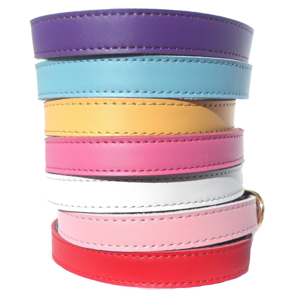 Dog Collars (4 sizes) 8-16"