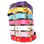 Dog Collars (4 sizes) 8-16"