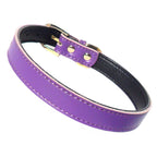 Dog Collars (4 sizes) 8-16"