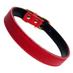 Dog Collars (4 sizes) 8-16"
