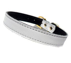 Dog Collars (4 sizes) 8-16"