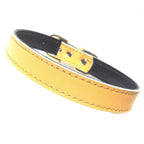Dog Collars (4 sizes) 8-16"