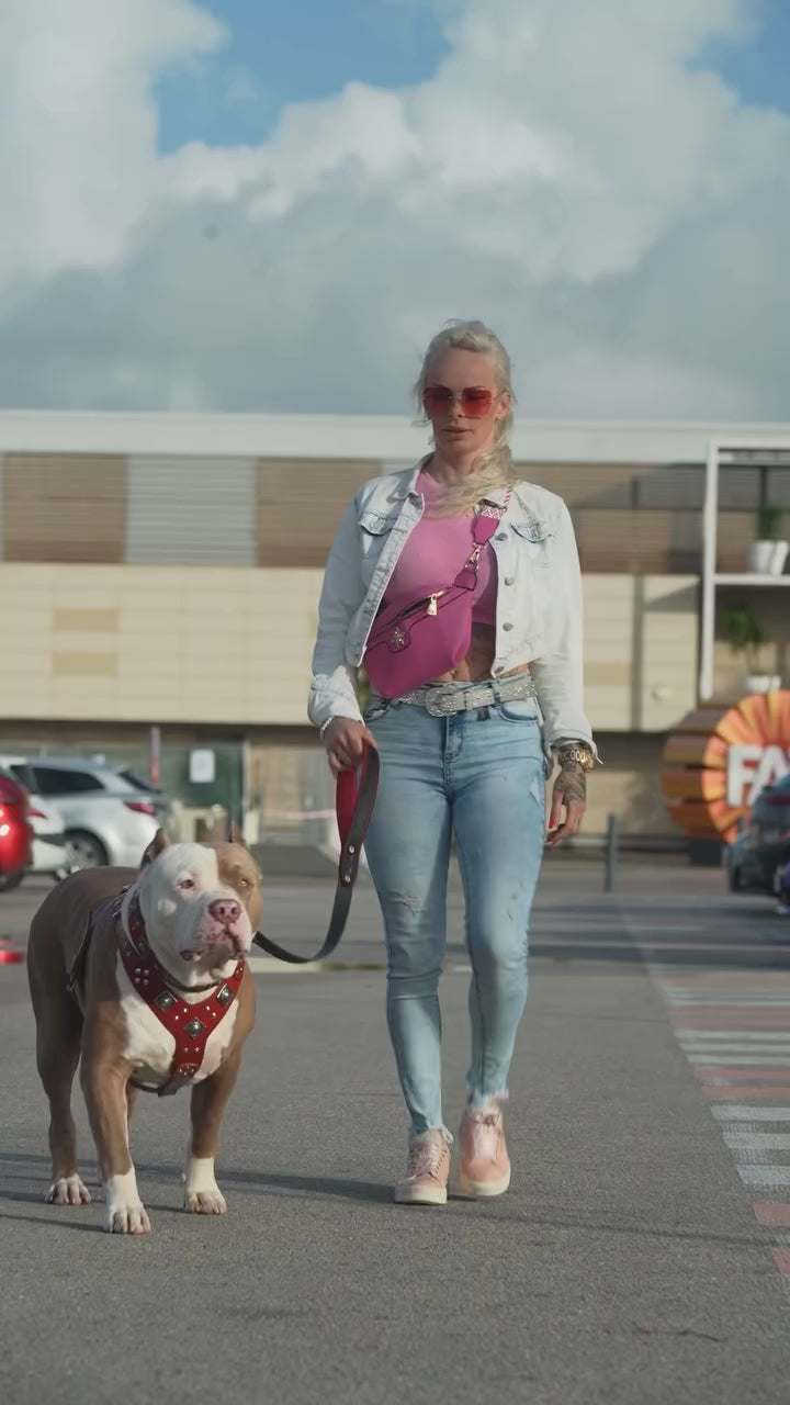 "EROS" BIG dog SET- Harness - collar - lead. Red