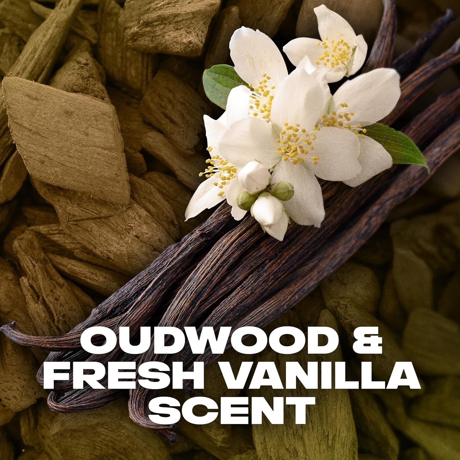 Men Gold Deodorant Body Spray with an Oud Wood & Fresh Vanilla Scent with 48 Hours of Odour Busting, High Defnition Fragrance 200 Ml, Pack of 6 (Packing May Vary)