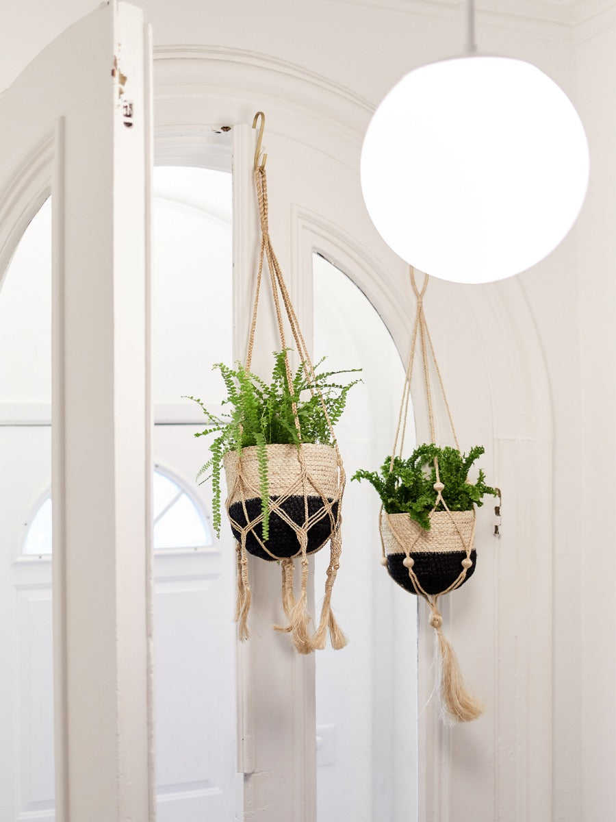 Plant Hanger