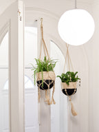 Plant Hanger
