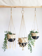 Plant Hanger