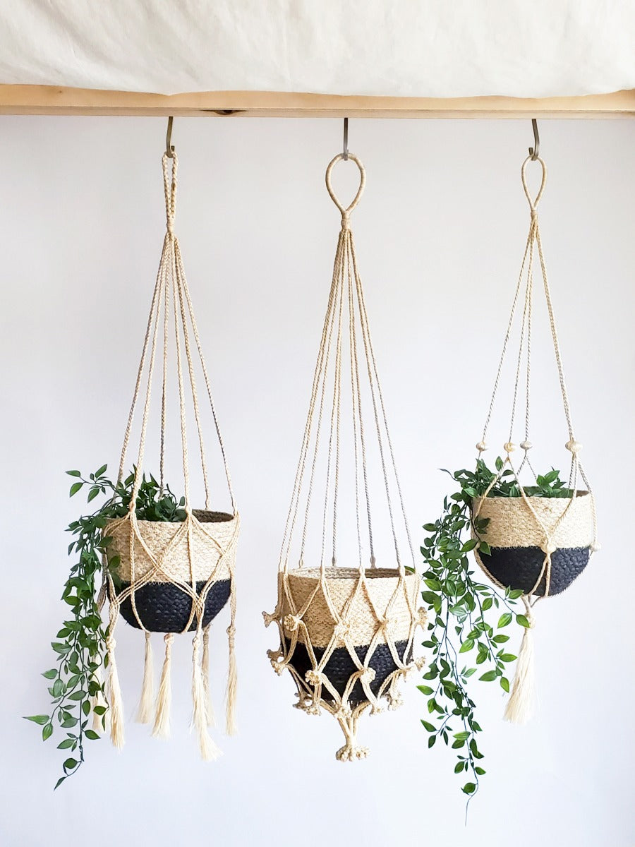 Plant Hanger